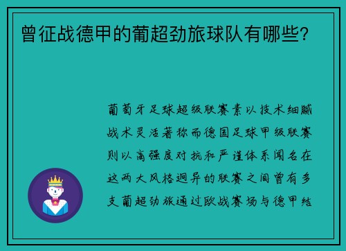 曾征战德甲的葡超劲旅球队有哪些？